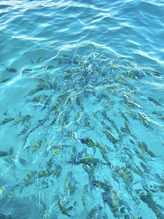 萬寧衝浪聖地打卡指南