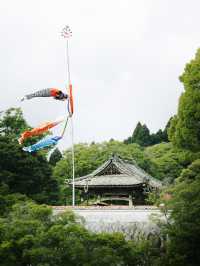 A hidden serene heaven moments from Osaka