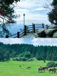 重慶縉雲山避坑指南本地人的隱藏玩法大公開！