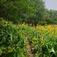 Day Hike Near Medeo ⛰️🍃