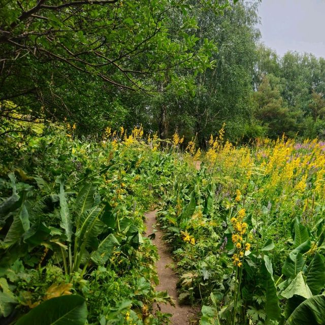 Day Hike Near Medeo ⛰️🍃