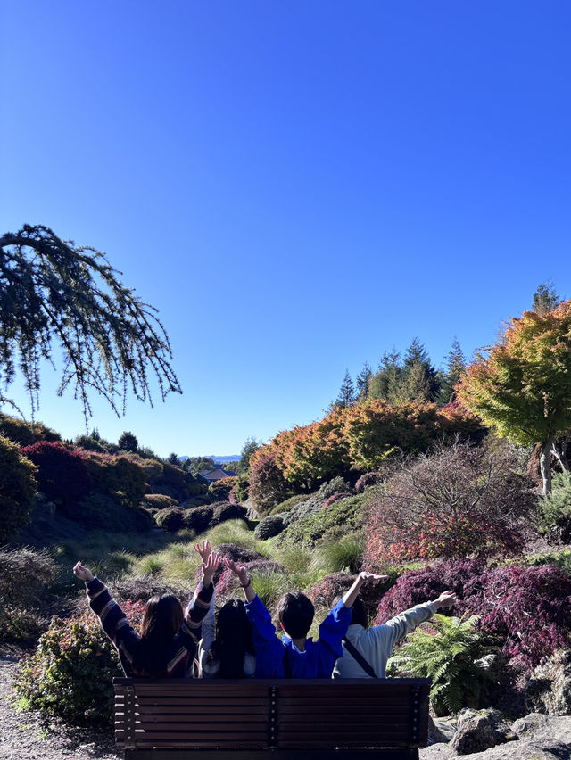 🕊️ Ikeda Hall Peace Garden: Where Japanese Serenity Meets New Zealand's Soul! 🌿