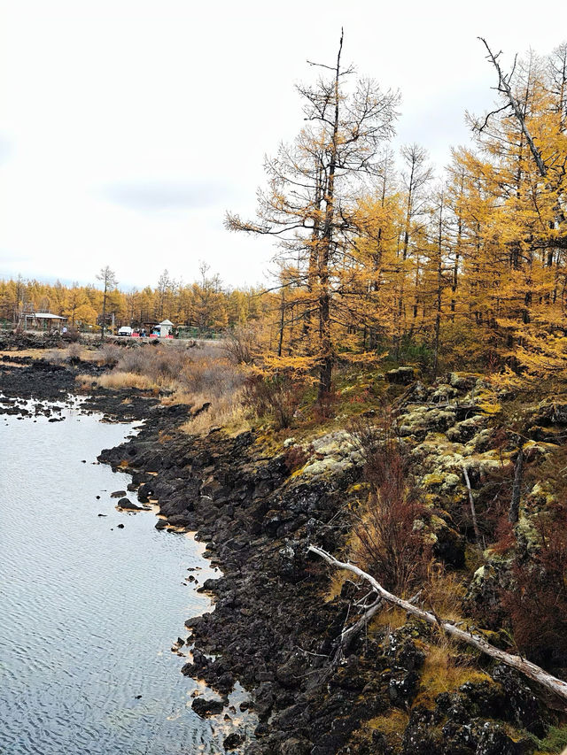 阿爾山•石塘林：踏足亞洲最大火山熔岩區