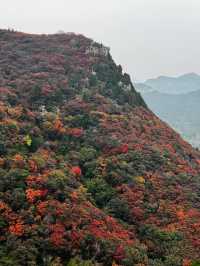 石門坊賞紅葉，邂逅秋日浪漫