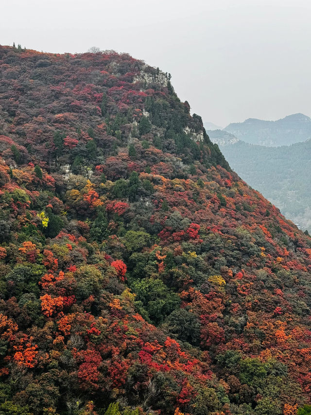 石門坊賞紅葉，邂逅秋日浪漫