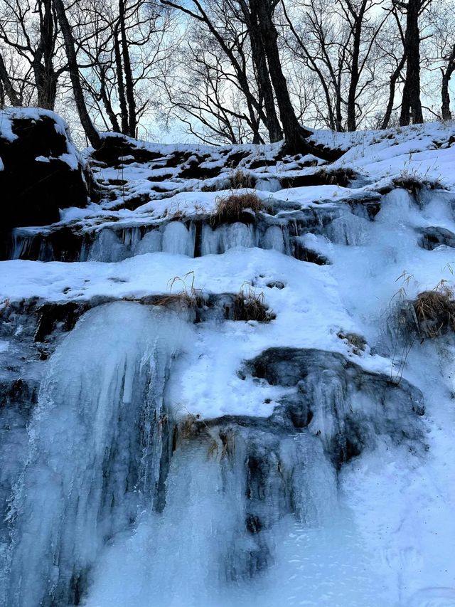 讓我們投入到這冰天雪地的世界，來一次冰雪奇緣！