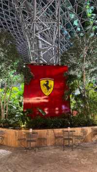 Ferrari World Abu Dhabi: A Memorable Birthday Celebration