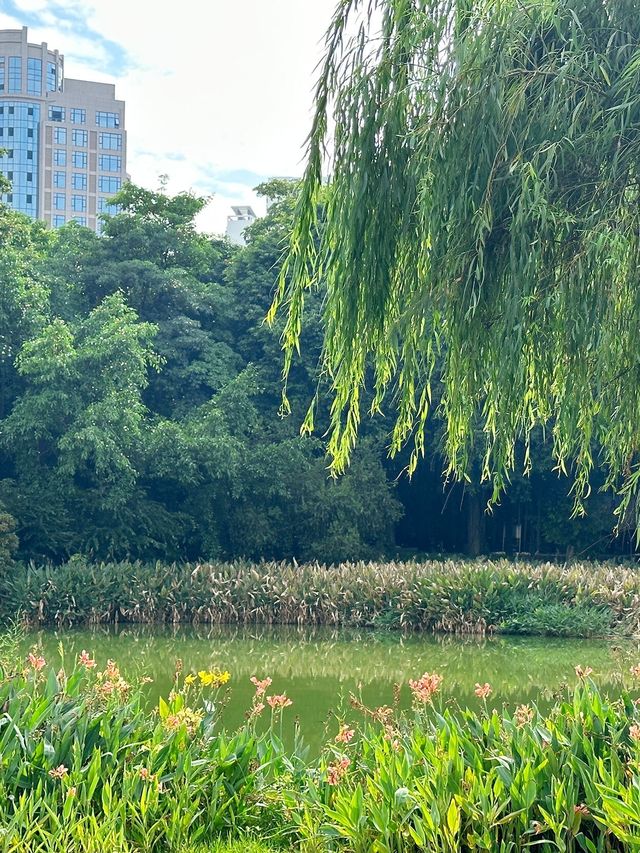南寧南湖公園漫遊指南｜i人親測：20分鐘治癒所有疲憊～