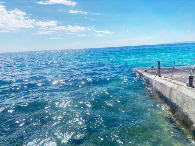 🌊 宿霧｜與鯨鯊共游的那片湛藍記憶