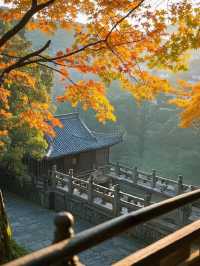 天台山秋意殺瘋了！這幾個打卡地錯過等一年