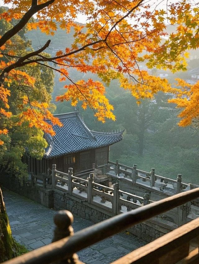 天台山秋意殺瘋了！這幾個打卡地錯過等一年