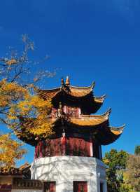100% Perfect Photo Opportunities by Cuihu Lake in Autumn – Enjoy a Relaxing Off-Peak Stay at Crowne Plaza Kunming City Centre