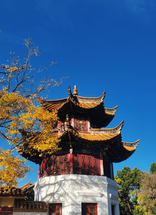 100% Perfect Photo Opportunities by Cuihu Lake in Autumn – Enjoy a Relaxing Off-Peak Stay at Crowne Plaza Kunming City Centre