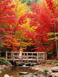 北京秋天私藏路線｜帝都紅葉季浪漫限定指南