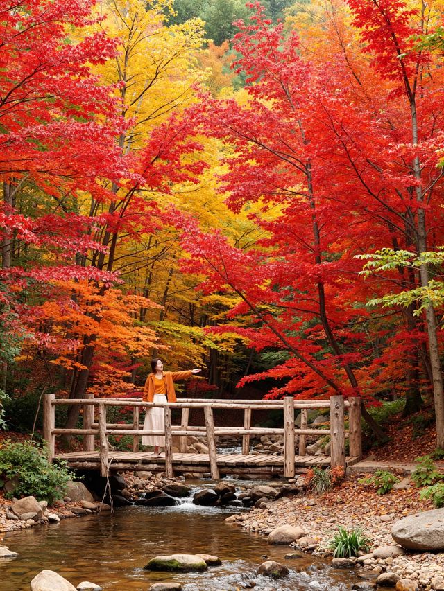北京秋天私藏路線｜帝都紅葉季浪漫限定指南