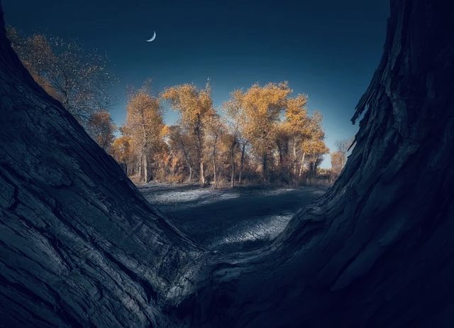 西域蒼穹下:在南疆的星空與沙海間找回自己 西域蒼穹下:在南疆的星空與沙海間找回自己
