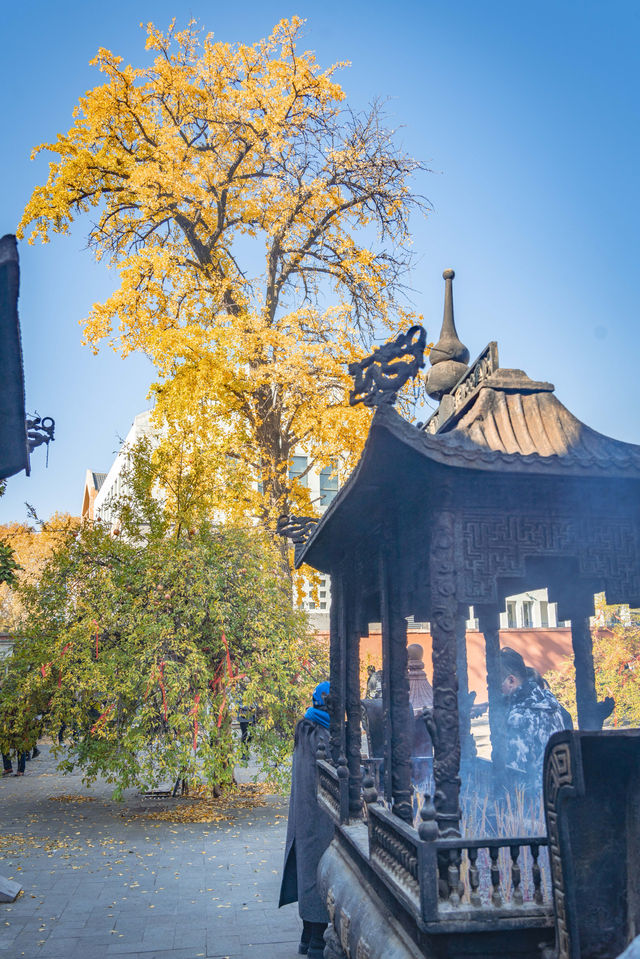 南京秋天毗盧寺拍照打卡,真的很美這裡。 南京秋天毗盧寺拍照打卡,真的很美這裡。