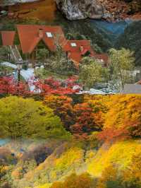 別卷國外了!四川光霧山,藏著中國紅葉的「天花板」