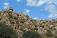 包頭大仙山尋佛記｜住進草原邊的神仙酒店