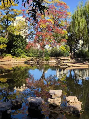 The most beautiful Chinese tallow tree in Nanjing in my heart～～