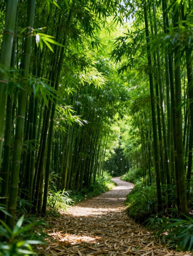 鹹寧3日遊 | 溫泉與赤壁古戰場經典組合・全人群適配攻略