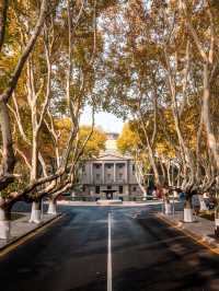 秋遊南京3日遊這份攻略碼住不虧