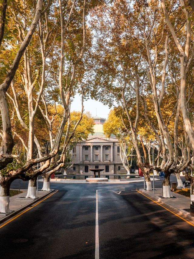 秋遊南京3日遊這份攻略碼住不虧