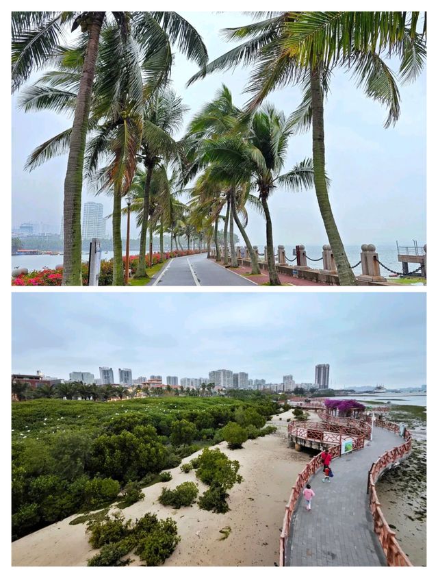 湛江4天深度遊：從老街古韻到海天一色。