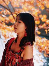 驚艷！川西小九寨松坪溝的秋色絕了一日打卡攻略