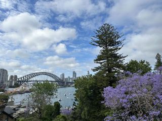 Sydney exclusive, Jacaranda like Jay Chou's Instagram
