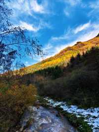 秋色掩映遮陽山