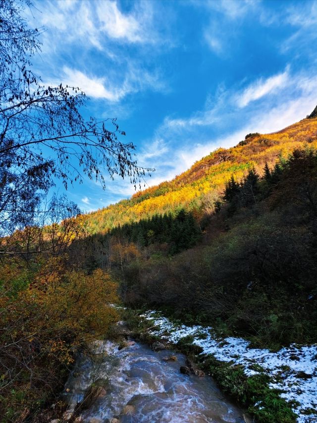 秋色掩映遮陽山