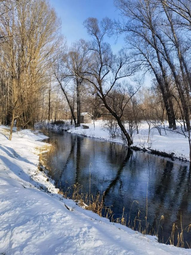 雪染峽谷,軒暖歸途 雪染峽谷,軒暖歸途