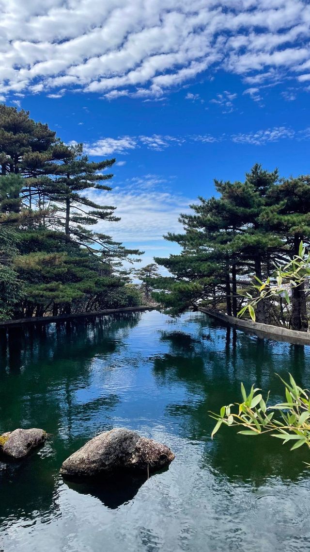 冬日黃山美如畫！12月免門票攻略速速碼住