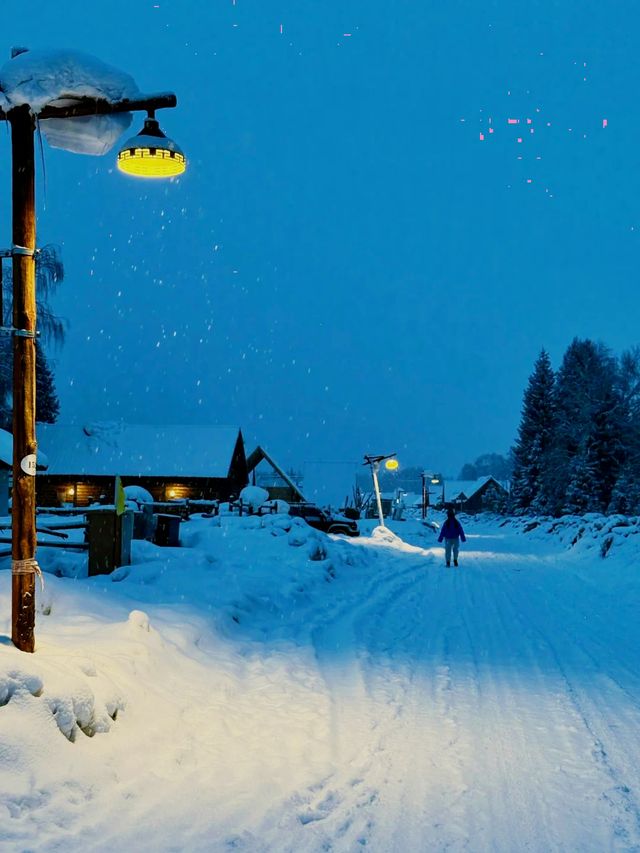 北疆冬季終極攻略