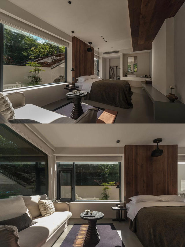 25℃的夏天！四明山雲自泊民宿藏進森林氧吧！