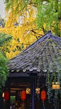 成都 1h，8 元的秋日崇州罨畫池，人間值得