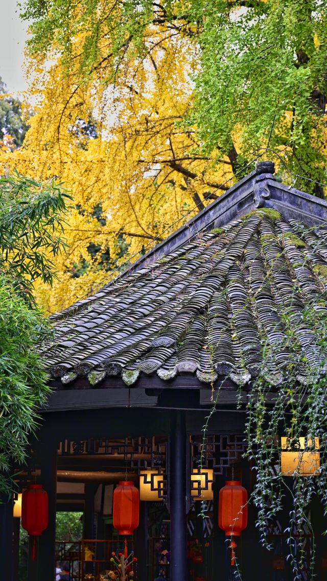 成都 1h，8 元的秋日崇州罨畫池，人間值得