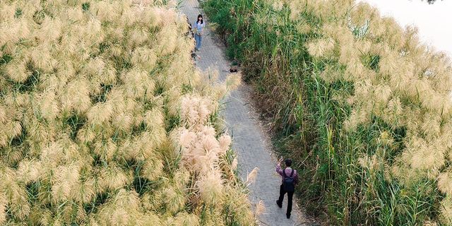 11月桂林深秋漫遊全攻略錯過等一年