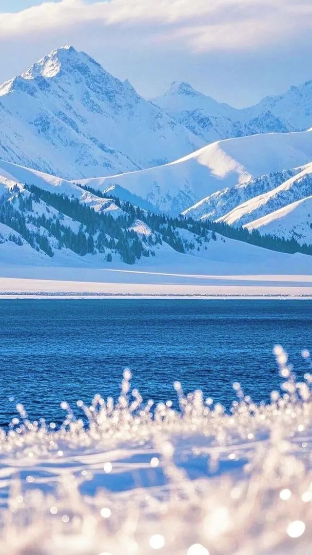 4天3晚夢幻伊犁之旅】人均2500私藏小眾路線&拍照攻略