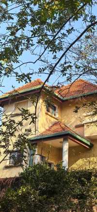 藏在青島的秋日童話,八大關的原生態美太治癒