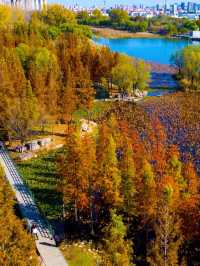 青島-威海-煙台長者旅行必看攻略