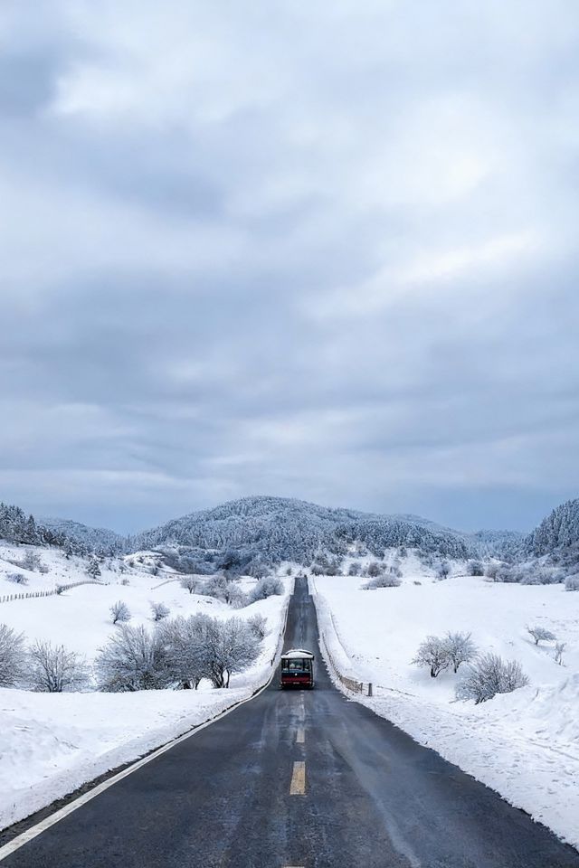 是童話裡的雪景啊,這裡美哭了! 是童話裡的雪景啊,這裡美哭了!