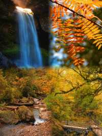 成都周邊賞秋封神地