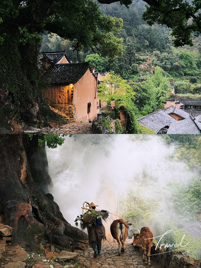 被麗水美哭！生態小城的慢生活太治癒了