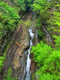 二遊紐約州Watkins Glen