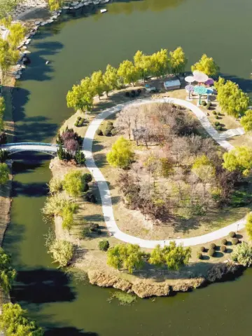 亳州兩日一夜｜初冬公園紅葉+三國文化