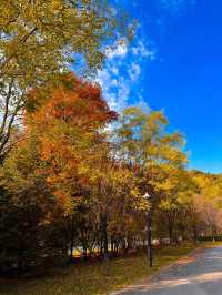 瀋陽必爬棋盤山攻略