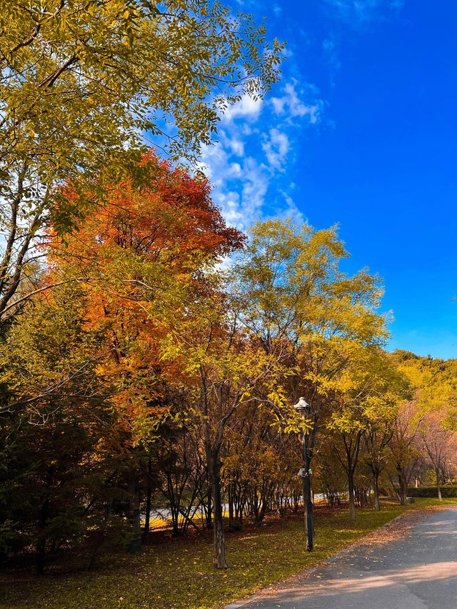 瀋陽必爬棋盤山攻略 瀋陽必爬棋盤山攻略