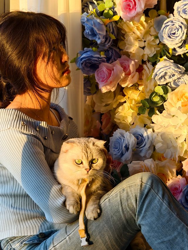 平潭這家海景民宿也太治癒了！面朝大海撸貓太幸福